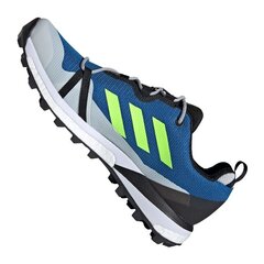 Мужские туристические ботинки, Adidas Terrex Skychaser LT Gtx M EH2427 серо-синие цена и информация | Мужские кроссовки | pigu.lt