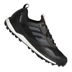 Походные ботинки Adidas Terrex AC7655 Gtx M FW9455, 52960 цена и информация | Кроссовки для мужчин | pigu.lt