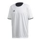 Sportiniai marškinėliai vyrams, Adidas Tango Reversible M FJ6309 balta/juoda цена и информация | Sportinė apranga vyrams | pigu.lt