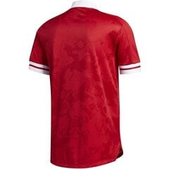 Sportiniai marškinėliai vyrams Adidas Condivo 20 M FT7257 53147, raudoni kaina ir informacija | Sportinė apranga vyrams | pigu.lt