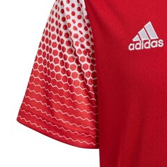 Спортивная футболка для мальчиков Adidas Regista 20 Jr FI4565, 53240 цена и информация | Рубашка для мальчиков | pigu.lt