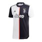 Sportiniai marškinėliai vyrams Adidas Juventus Home Authentic M DW5456 53241 kaina ir informacija | Sportinė apranga vyrams | pigu.lt