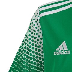 Спортивная футболка для мальчиков Adidas Regista 20 Jr FI4567, 53248 цена и информация | Рубашки для мальчиков | pigu.lt