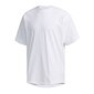 Sportiniai marškinėliai vyrams Adidas Must Haves M FM5391 53305 kaina ir informacija | Sportinė apranga vyrams | pigu.lt