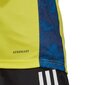 Sportiniai marškinėliai Adidas AdiPro 20 GK M FI4207, geltoni kaina ir informacija | Sportinė apranga vyrams | pigu.lt