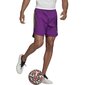 Sportiniai šortai vyrams Adidas Condivo 20, violetiniai цена и информация | Sportinė apranga vyrams | pigu.lt