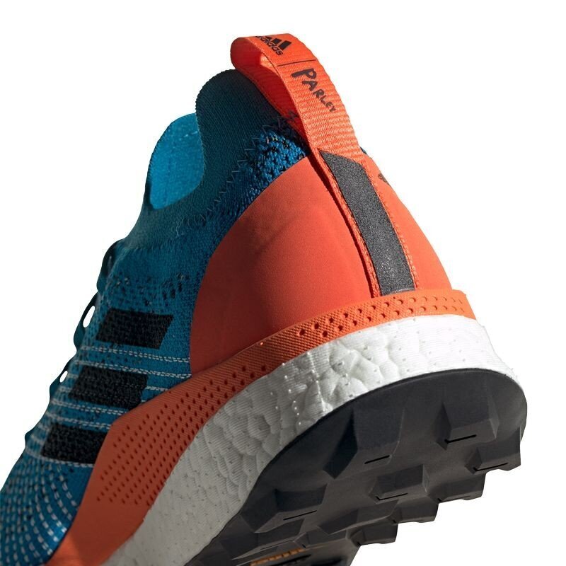 Turistiniai batai vyrams, Adidas Terrex Two Ultra Parley M EF2134 mėlyna kaina ir informacija | Vyriški batai | pigu.lt