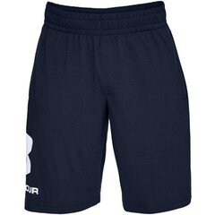 Спортивные шорты для мужчин Under Armour Sportstyle, синие цена и информация | Мужская спортивная одежда | pigu.lt
