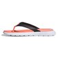 Paplūdimio šlepetės moterims adidas Comfort Flip Flop EG2064 kaina ir informacija | Šlepetės moterims | pigu.lt