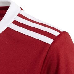 Sportiniai marškinėliai adidas Squadra 17 Jr BJ9196, 53981 kaina ir informacija | Marškinėliai berniukams | pigu.lt