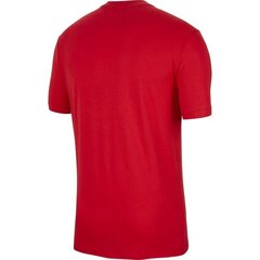 Мужская спортивная футболка Nike Poland TEE Evergreen Crest M CU9191 611, 54241, красная цена и информация | Мужская спортивная одежда | pigu.lt