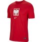 Sportiniai marškinėliai vyrams Nike Poland TEE Evergreen Crest M CU9191 611, 54241, raudoni kaina ir informacija | Sportinė apranga vyrams | pigu.lt