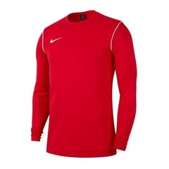 Джемпер для мужчин Nike Park 20 Crew BV6875-657, 54257 цена и информация | Мужские толстовки | pigu.lt