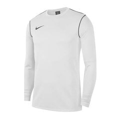 Свитер мужской Nike Park 20 Crew M BV6875-100, 54388 цена и информация | Мужские толстовки | pigu.lt