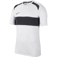 Sportiniai marškinėliai vyrams Nike Dry Academy TOP SS SA M BQ7352 101, 54424 kaina ir informacija | Sportinė apranga vyrams | pigu.lt