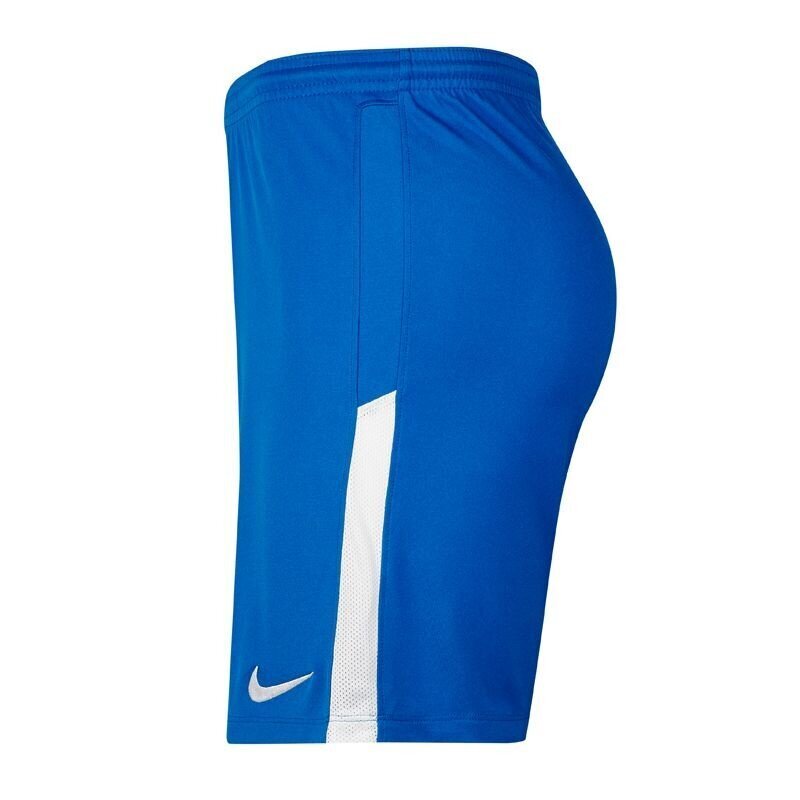 Sportiniai šortai vyrams Nike League Knit II, mėlyni kaina ir informacija | Sportinė apranga vyrams | pigu.lt