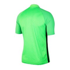 Мужская спортивная футболка Nike Gardien III GK M BV6714-398 54547, зеленая цена и информация | Мужские термобрюки, темно-синие, SMA61007 | pigu.lt