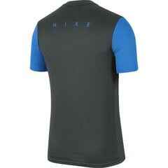 Спортивная футболка для мальчиков Nike Dry Academy PRO TOP SS Jr BV6947 062, 55452 цена и информация | Рубашки для мальчиков | pigu.lt