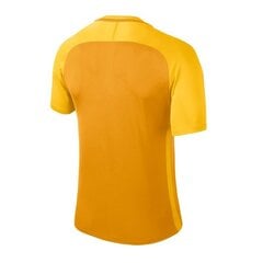 Спортивная футболка Nike Treeningsärk Dry Team Trophy III Jersey цена и информация | Мужская спортивная одежда | pigu.lt