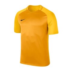 Sportiniai marškinėliai Nike Dry Trophy III M 881483-739, 55680 kaina ir informacija | Sportinė apranga vyrams | pigu.lt