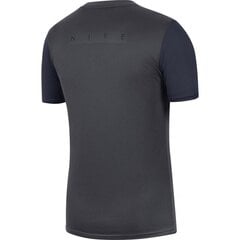 Спортивная футболка мужская Nike Dry Academy PRO TOP SS M BV6926 076, 55731 цена и информация | Мужские термобрюки, темно-синие, SMA61007 | pigu.lt