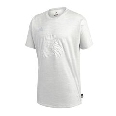 Sportiniai marškinėliai vyrams, Adidas Tango Terry M CG1827 balta/pilka kaina ir informacija | Sportinė apranga vyrams | pigu.lt