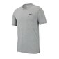 Sportiniai marškinėliai Nike Dry Tee Crew Solid M AR6029-063, 56083 цена и информация | Sportinė apranga vyrams | pigu.lt