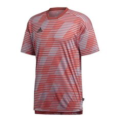 Sportiniai marškinėliai vyrams, adidas Tango Eng M CG1864 pilka/bordo kaina ir informacija | Sportinė apranga vyrams | pigu.lt