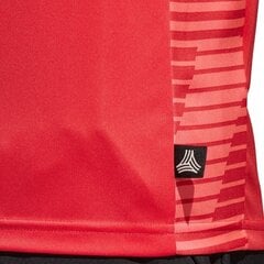 Спортивная футболка мужская, adidas Tango Climalite M CD8307 красная цена и информация | Мужские термобрюки, темно-синие, SMA61007 | pigu.lt