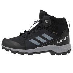 Vaikiški kedai Adidas Terrex Mid GTX K Jr EF0225, 56946 цена и информация | Детская спортивная обувь | pigu.lt