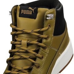 Kedai vyrams Puma Tarrenz SB Puretex M 370552-02 (56956) kaina ir informacija | Kedai vyrams | pigu.lt