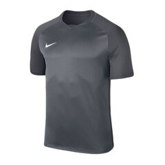 Спортивная футболка Nike Dry Trophy III M 881483-065, 57662 цена и информация | Мужская спортивная одежда | pigu.lt