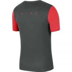 Спортивная футболка для мальчиков Nike Dry Academy PRO TOP SS Jr BV6947 064 (58315) цена и информация | Рубашки для мальчиков | pigu.lt