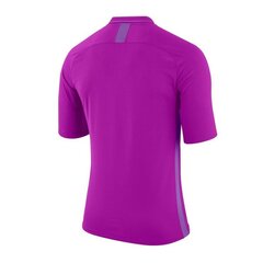 Спортивная футболка мужская Nike Dry Referee SS M AA0735-551, 58321 цена и информация | Мужская спортивная одежда | pigu.lt