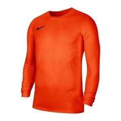 Sportiniai marškinėliai vyrams Nike Park VII M BV6706-819, 58342 kaina ir informacija | Sportinė apranga vyrams | pigu.lt