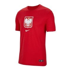 Sportiniai marškinėliai Nike Poland Crest Jr CU1212 611 kaina ir informacija | Marškinėliai berniukams | pigu.lt