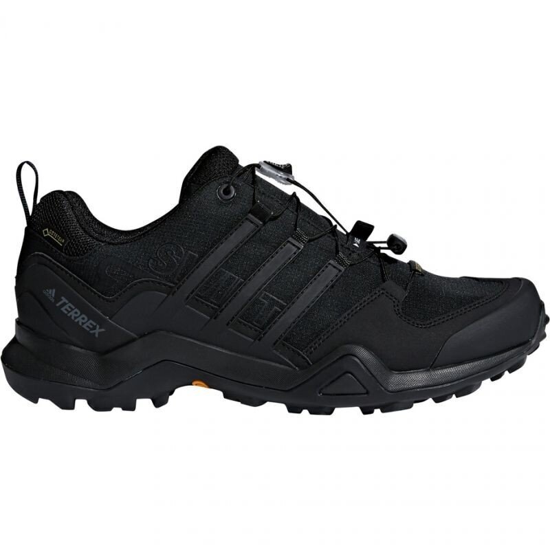 Turistiniai batai vyrams, Adidas Terrex Swift R2 GTX M CM7492 kaina ir informacija | Vyriški batai | pigu.lt