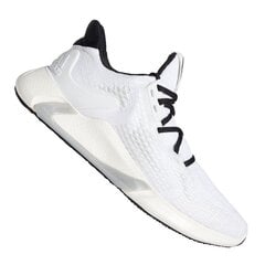 Кроссовки для бега мужские Adidas Edge XT M EH0433 цена и информация | Кроссовки для мужчин | pigu.lt