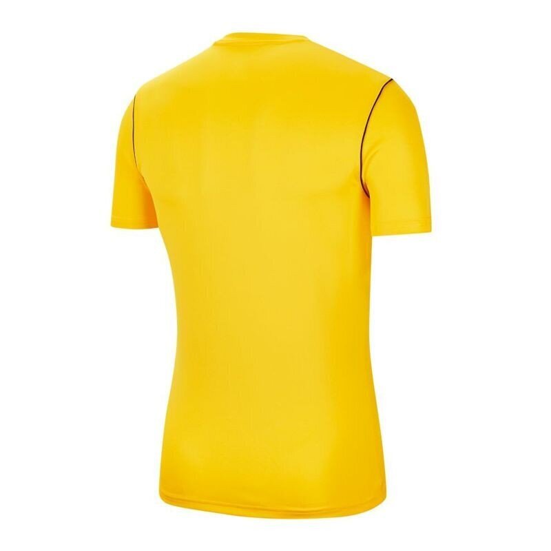 Sportiniai marškinėliai berniukams Nike Park 20 Junior BV6905-719, 61294, geltoni kaina ir informacija | Marškinėliai berniukams | pigu.lt