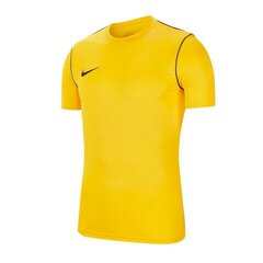 Спортивная футболка для мальчиков Nike Park 20 Junior BV6905-719, 61294, желтая цена и информация | Рубашка для мальчиков | pigu.lt