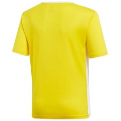 Sportiniai marškinėliai berniukams, adidas Entrada 18 Jsyy Jr CF1039 kaina ir informacija | Marškinėliai berniukams | pigu.lt