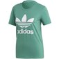 Sportiniai marškinėliai moterims, adidas Trefoil Tee W FM3300 žalia цена и информация | Sportinė apranga moterims | pigu.lt