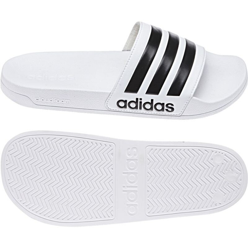 Paplūdimio šlepetės, Adidas Adilette Shower AQ1702 цена и информация | Vandens batai | pigu.lt