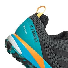 Turistiniai batai vyrams, Adidas Terrex Skychaser LT GTX M FX0148 grafitas/mėlyna kaina ir informacija | Vyriški batai | pigu.lt
