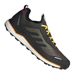 Туристическая обувь для мужчин Adidas Terrex Agravic Flow M FV2411, бирюзовая цена и информация | Мужские ботинки | pigu.lt