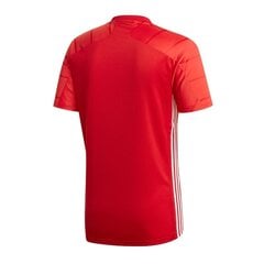 Sportiniai marškinėliai vyrams Adidas Campeon 21 M FT6763 kaina ir informacija | Sportinė apranga vyrams | pigu.lt