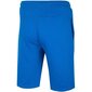 Sportiniai šortai vyrams 4F M NOSH4, mėlyni kaina ir informacija | Sportinė apranga vyrams | pigu.lt