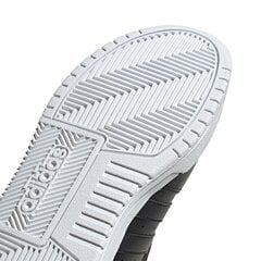 Кеды мужские Adidas Entrap M EH1263 цена и информация | Кроссовки для мужчин | pigu.lt