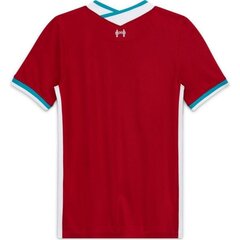 Nike мужская спортивная рубашка Liverpool FC Stadium Home YM CZ2647-687 (63740), красная цена и информация | Мужские термобрюки, темно-синие, SMA61007 | pigu.lt