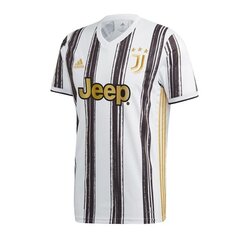 Sportiniai marškinėliai vyrams Adidas Juventus Home 20/21 M EI9894 63962 kaina ir informacija | Sportinė apranga vyrams | pigu.lt